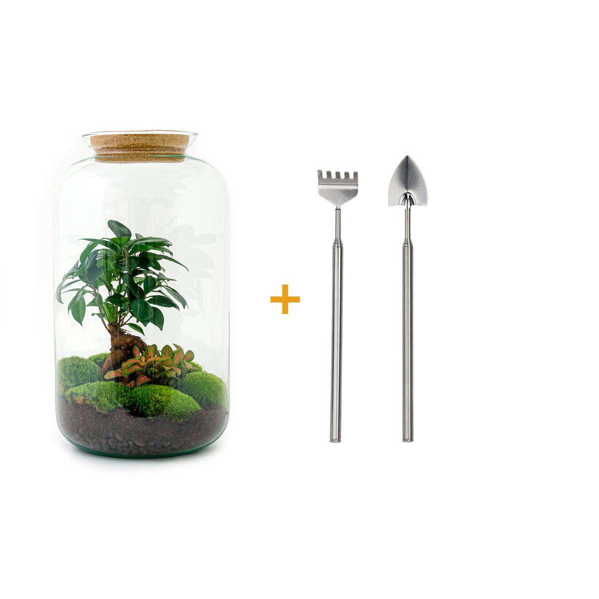 πΏπ οΈ DIY Terrarium Sven β Bonsai β 43 cm β Including rake & shovel
