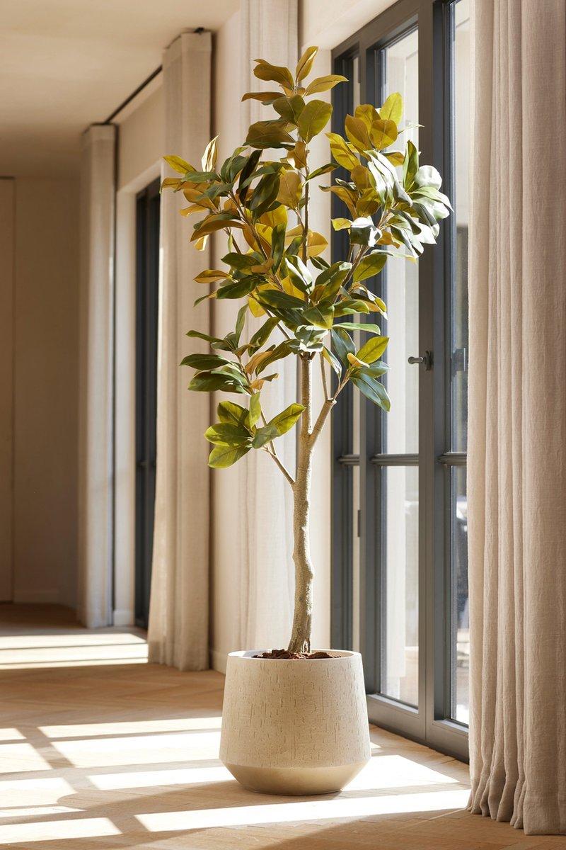 πΈ Magnolia Denudata β Artificial tree β 150 cm