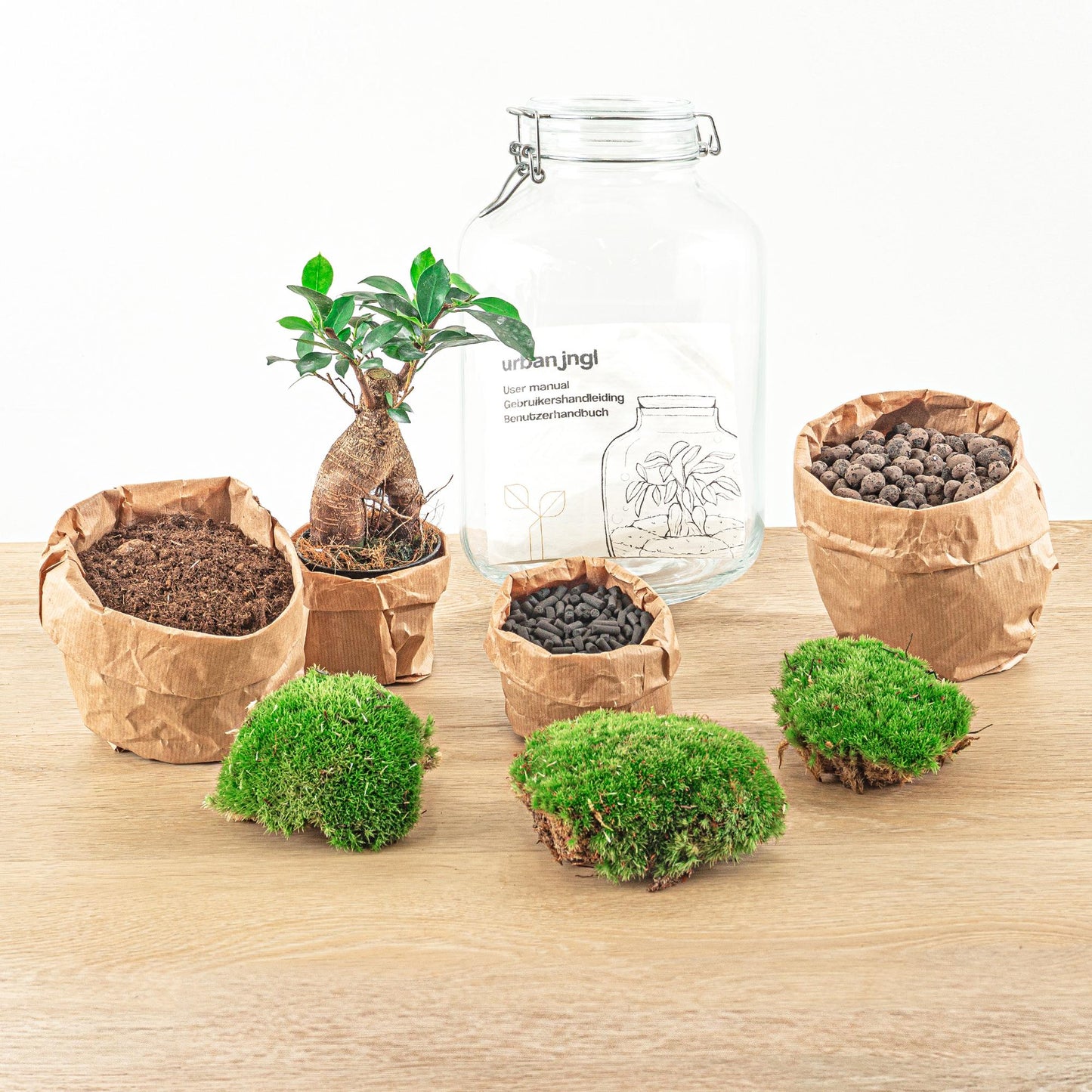 πΏπ οΈ DIY Terrarium Jar β Ficus Ginseng Bonsai β 28 cm β Including rake & shovel