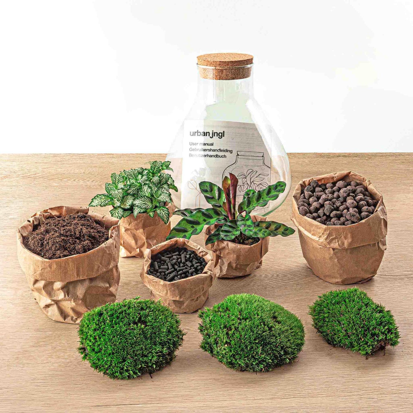 πΏ DIY Terrarium Sammie β 27 cm