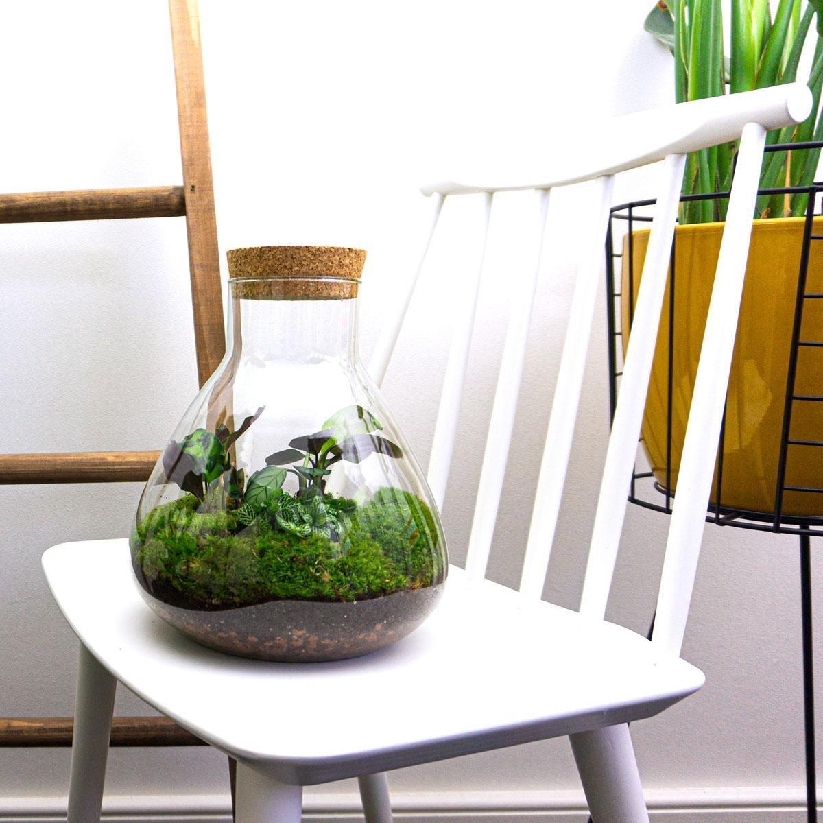 πΏπ οΈ DIY Terrarium Sammie β 27 cm β Including rake & shovel