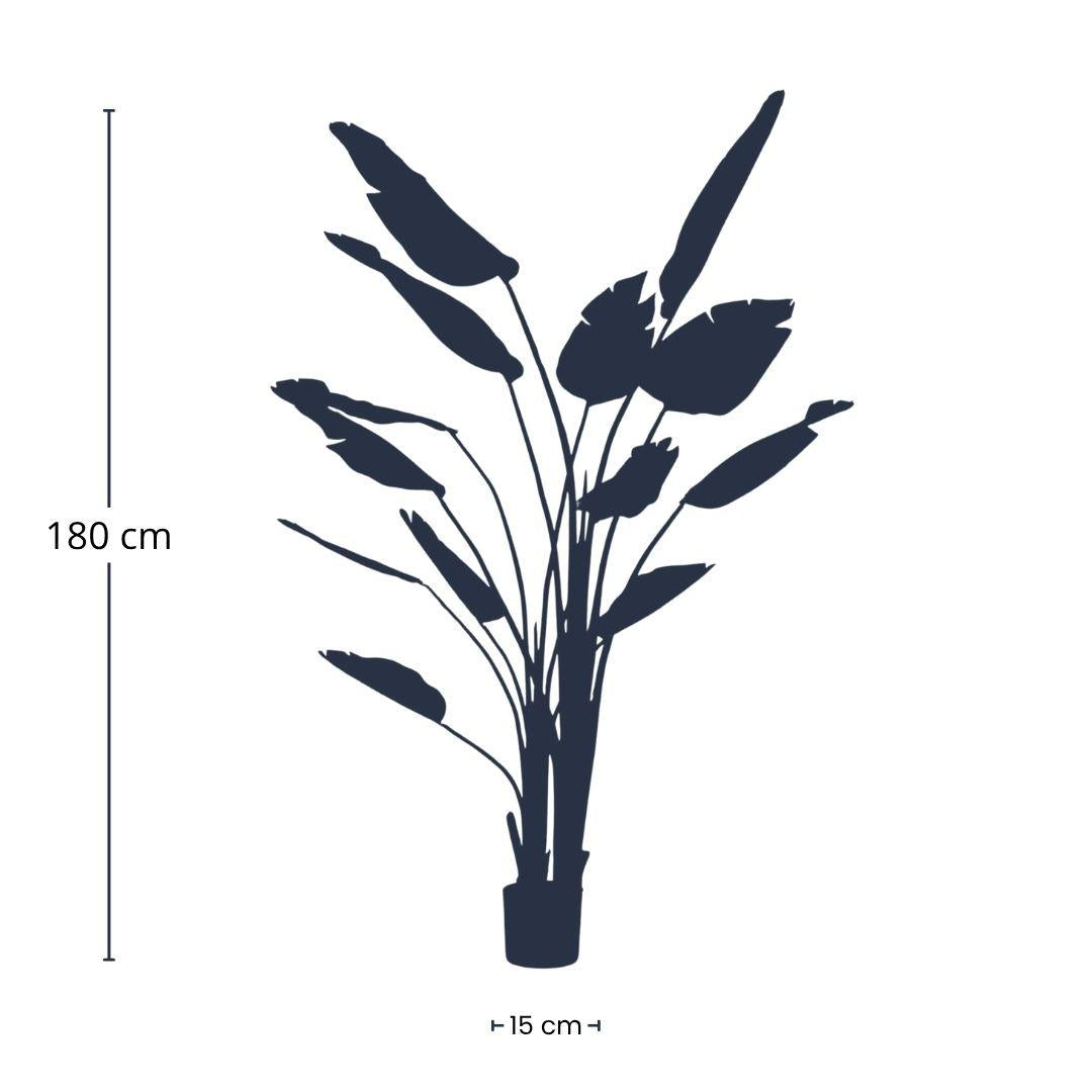 π΄ Artificial Strelitzia Nicolai Plant β 180 cm
