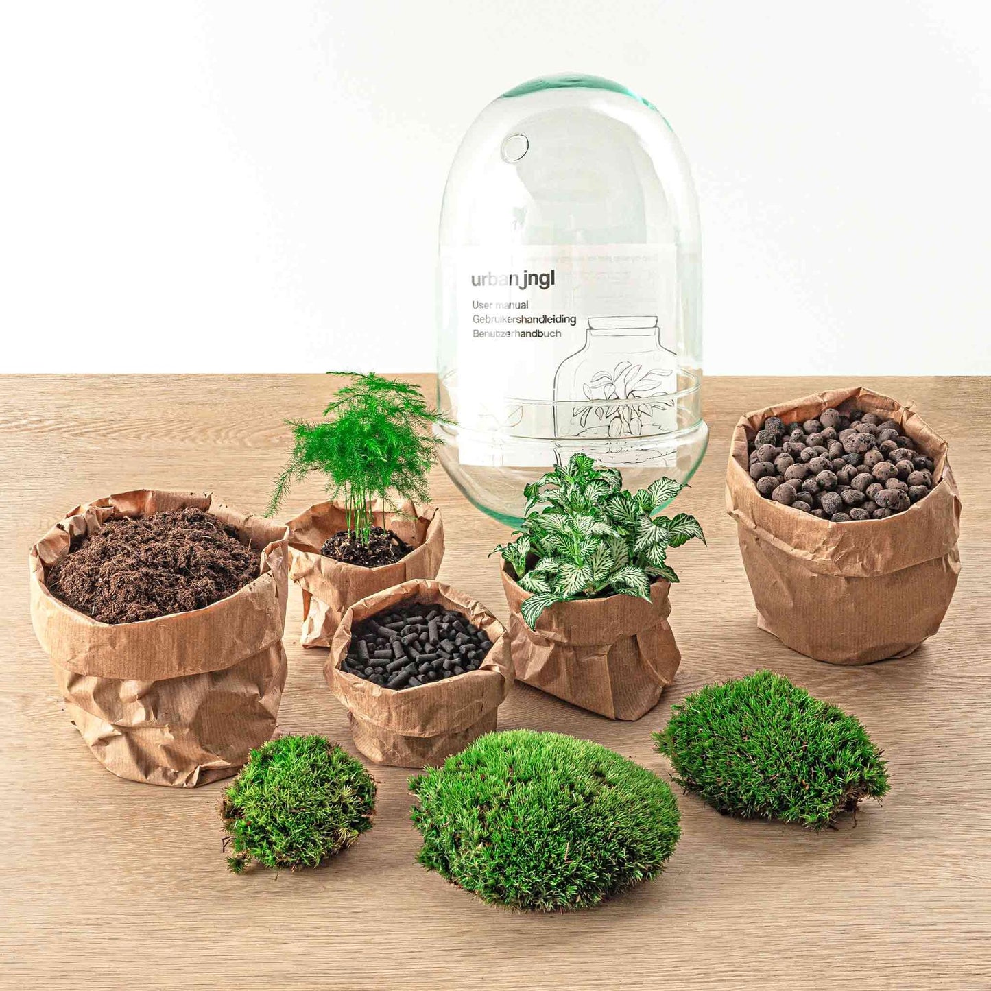 πΏ DIY Terrarium Egg XL β 30 cm