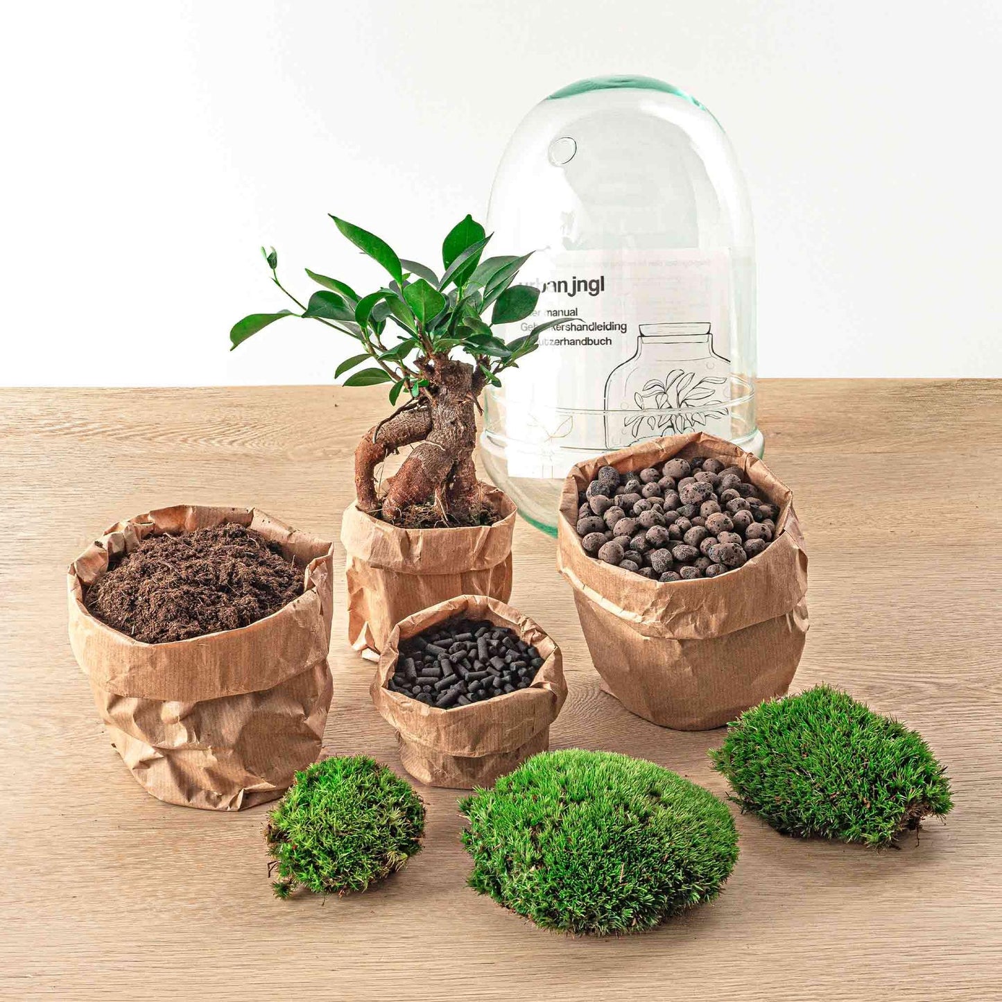 πΏ DIY Terrarium Egg β Bonsai β 25 cm