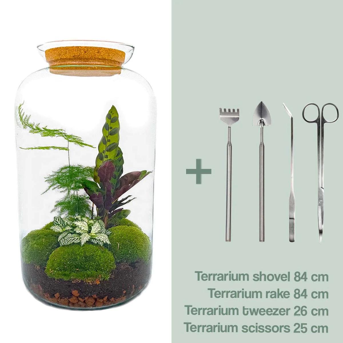 πΏπ οΈ DIY Terrarium Sven XL β Botanical β 43 cm β Complete with rake, shovel, tweezers & scissors