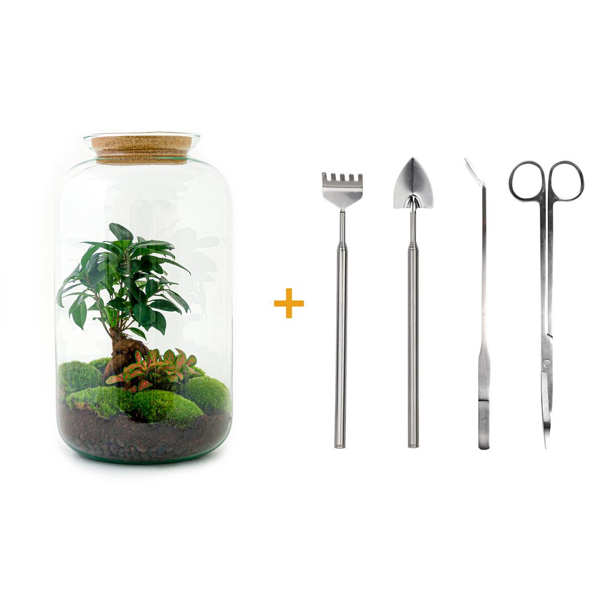 πΏπ οΈ DIY Terrarium Sven β Bonsai β 43 cm β Complete with rake, shovel, tweezers & scissors