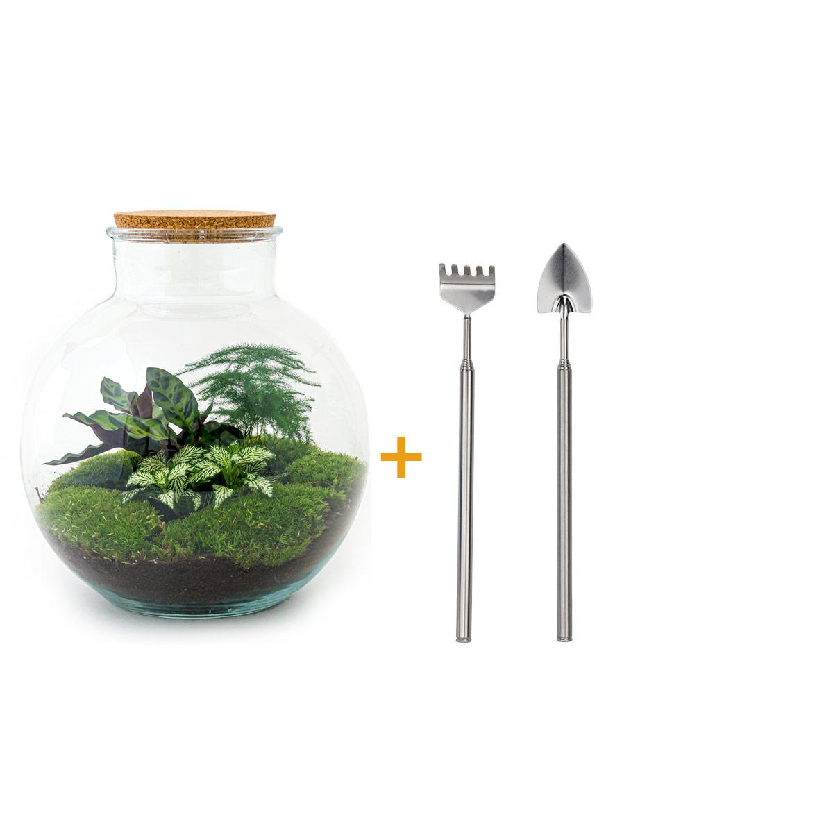 πΏπ οΈ DIY Terrarium Bolder Bob β 30 cm β Including rake & shovel
