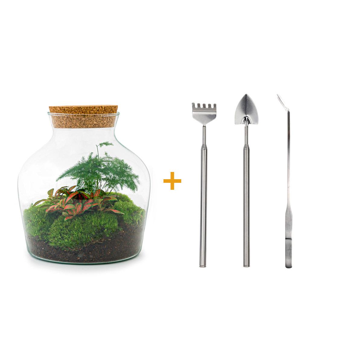 πΏπ οΈ DIY Terrarium Little Joe β 21.5 cm β Includes rake, shovel & tweezers