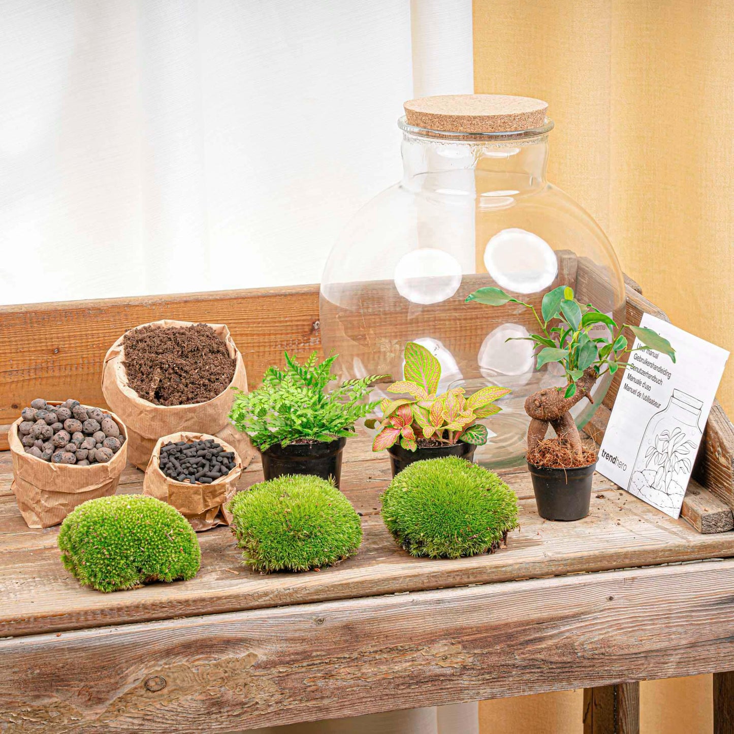 πͺ΄π οΈ DIY Terrarium Bolder Bob β Bonsai β 30 cm β Complete with rake, shovel, tweezers & scissors