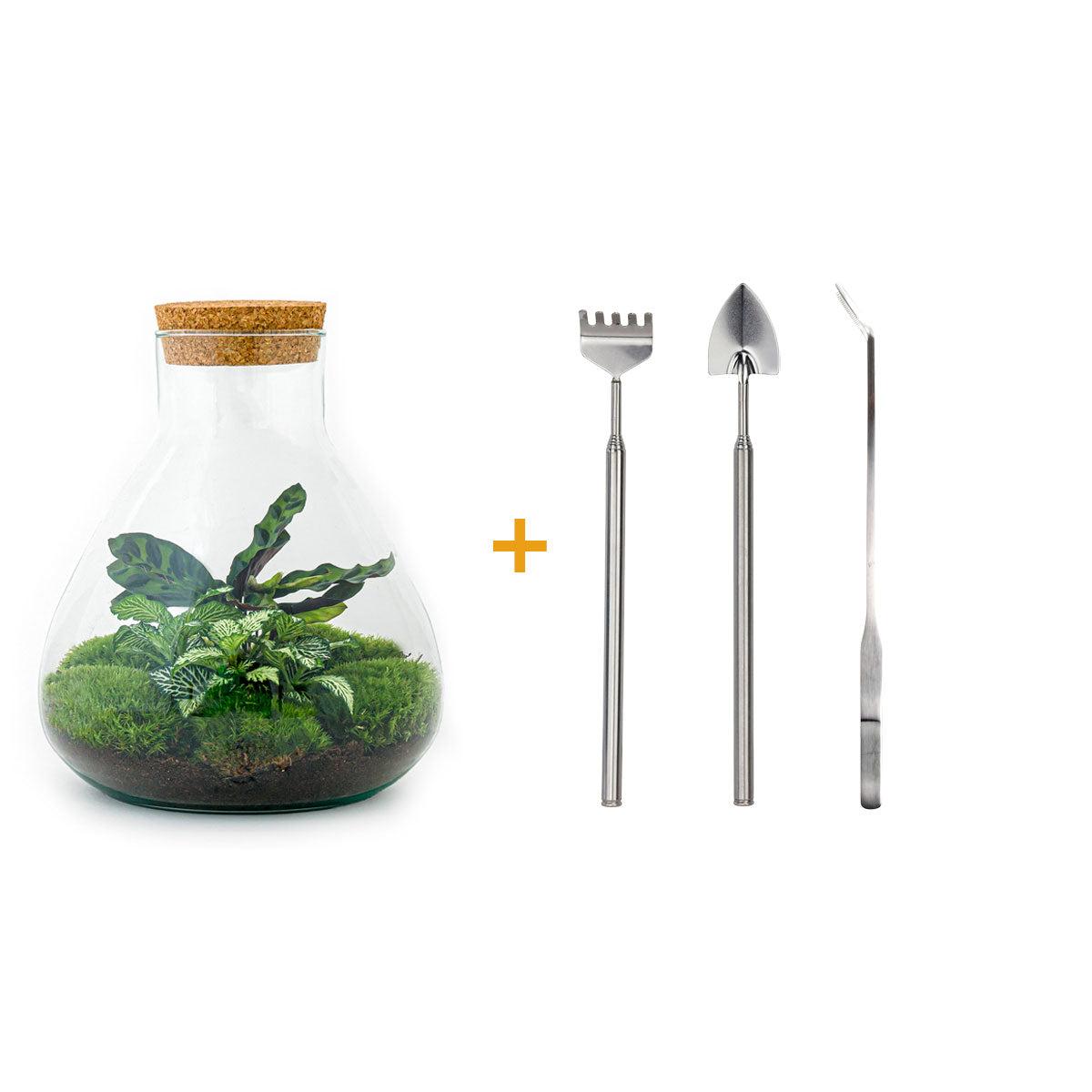 πΏπ οΈ DIY Terrarium Sammie β 27 cm β Complete with rake, shovel, tweezers & scissors