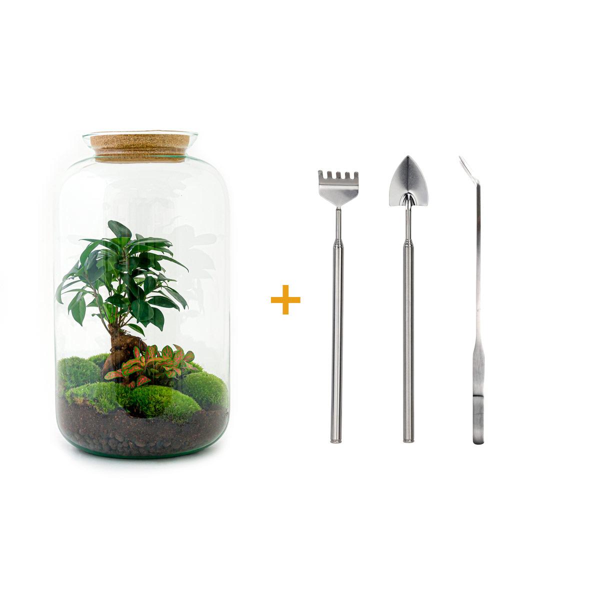 πΏπ οΈ DIY Terrarium Sven β Bonsai β 43 cm β Including rake, shovel & tweezers