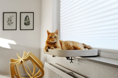 Kattenmanden