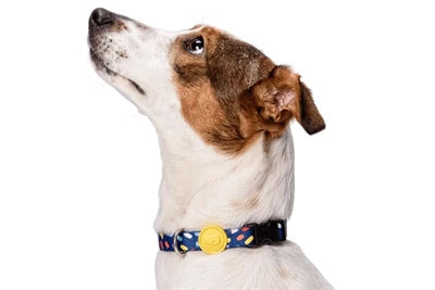 Honden Halsbanden