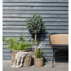 Plaid Manta – elegante katoen in grijs en wit ontwerp C