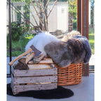 Lamsvel - Lamsvel in grijs 50x85 cm