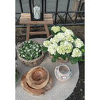 Menorca tapijt - tapijt van 100% gerecycled plastic, zand, Ø120 cm