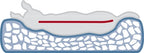 Trixie Vital Hondenmand Bendson Orthopedisch Grijs