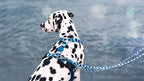 Morso Hondenriem Verstelbaar Gerecycled Splash Blauw