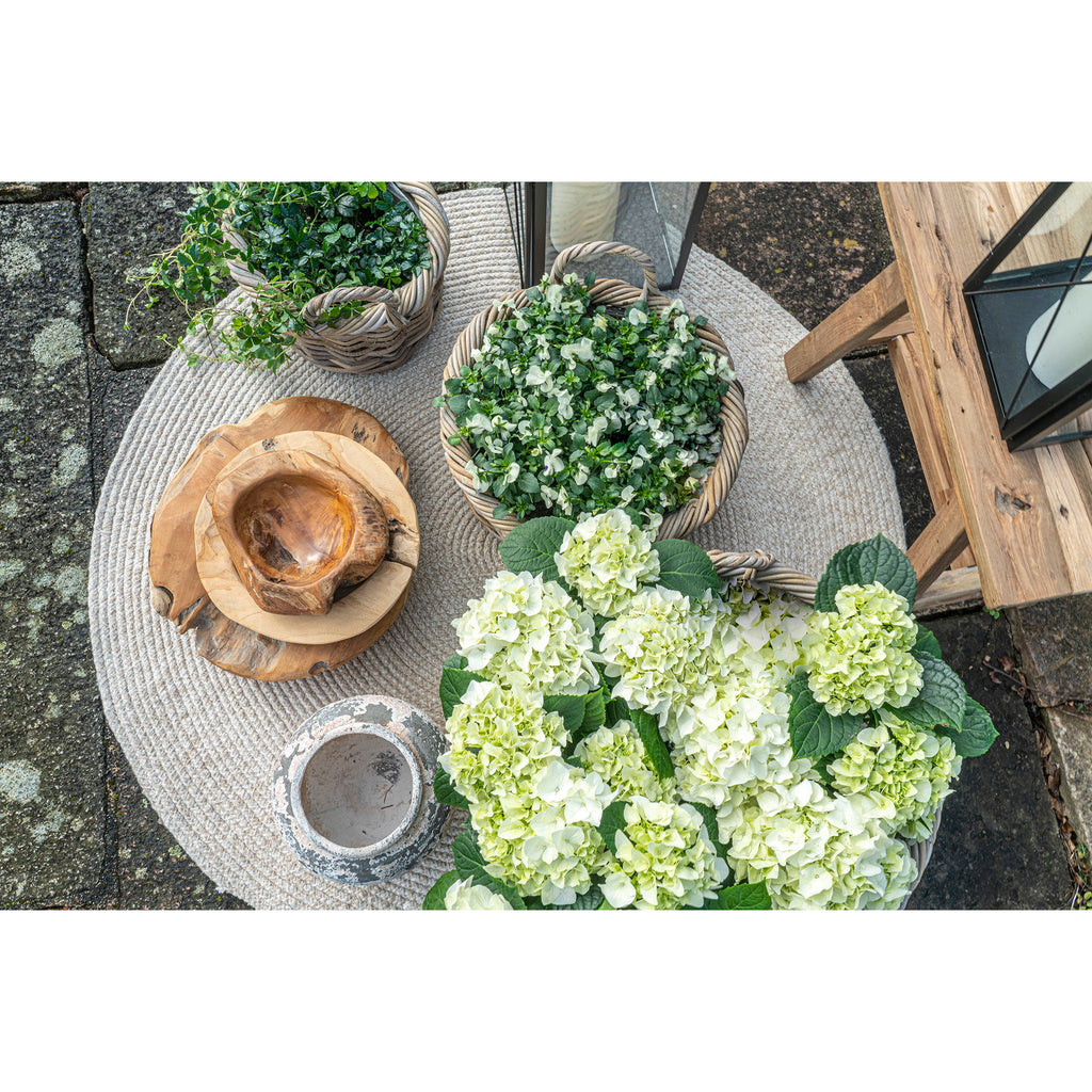 Cest Rattan Set Kuta – set van 3 kubu manden met plastic voering in naturel