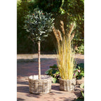 Mand Cesti Kalak – natuurlijke Kubu rattan manden in set van 2