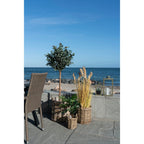 Rieten mandenset Sema – set van 3 ronde kubu rieten manden in natuurlijk