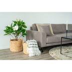 Cesto Set Passo – ronde manden van jacinto d'agua in natuurlijke kleur