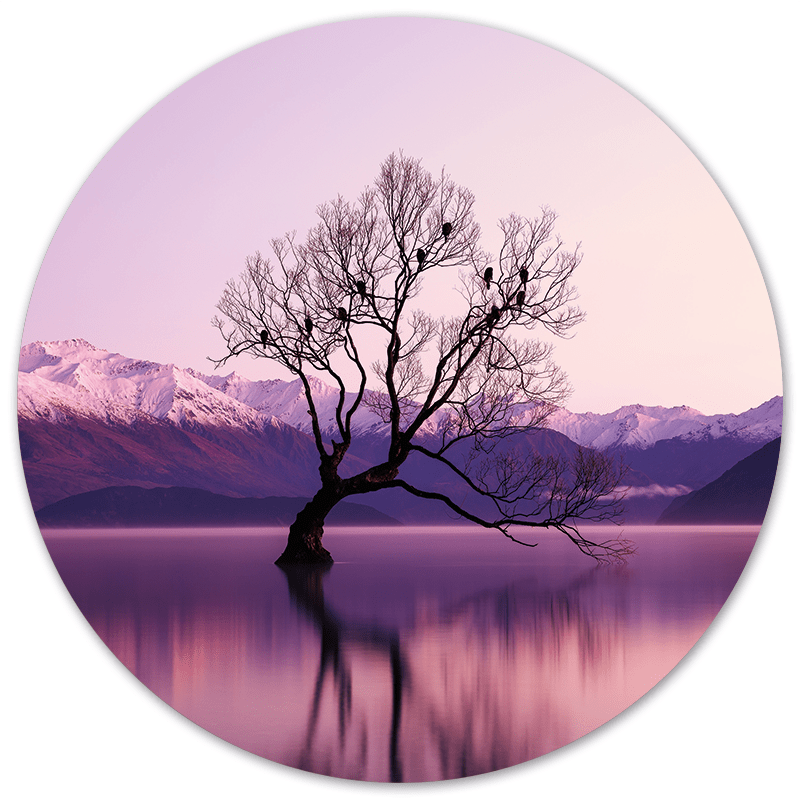 Muurcirkel Winterwater