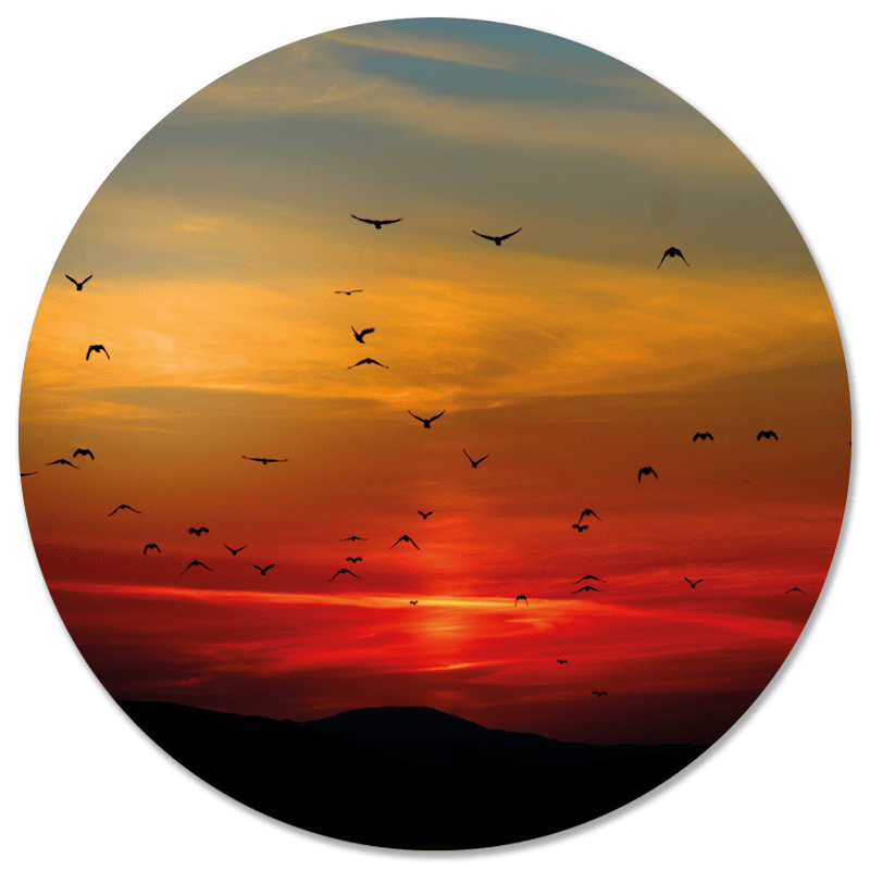 Muurcirkel Sunset Rood