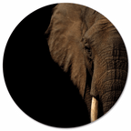 Muurcirkel Olifant Hoofd