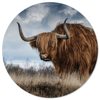 Muurcirkel Buffel