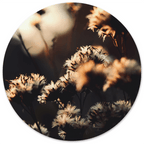 Muurcirkel Mystic Flower