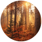 Muurcirkel Forest