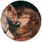Muurcirkel Lion Couple