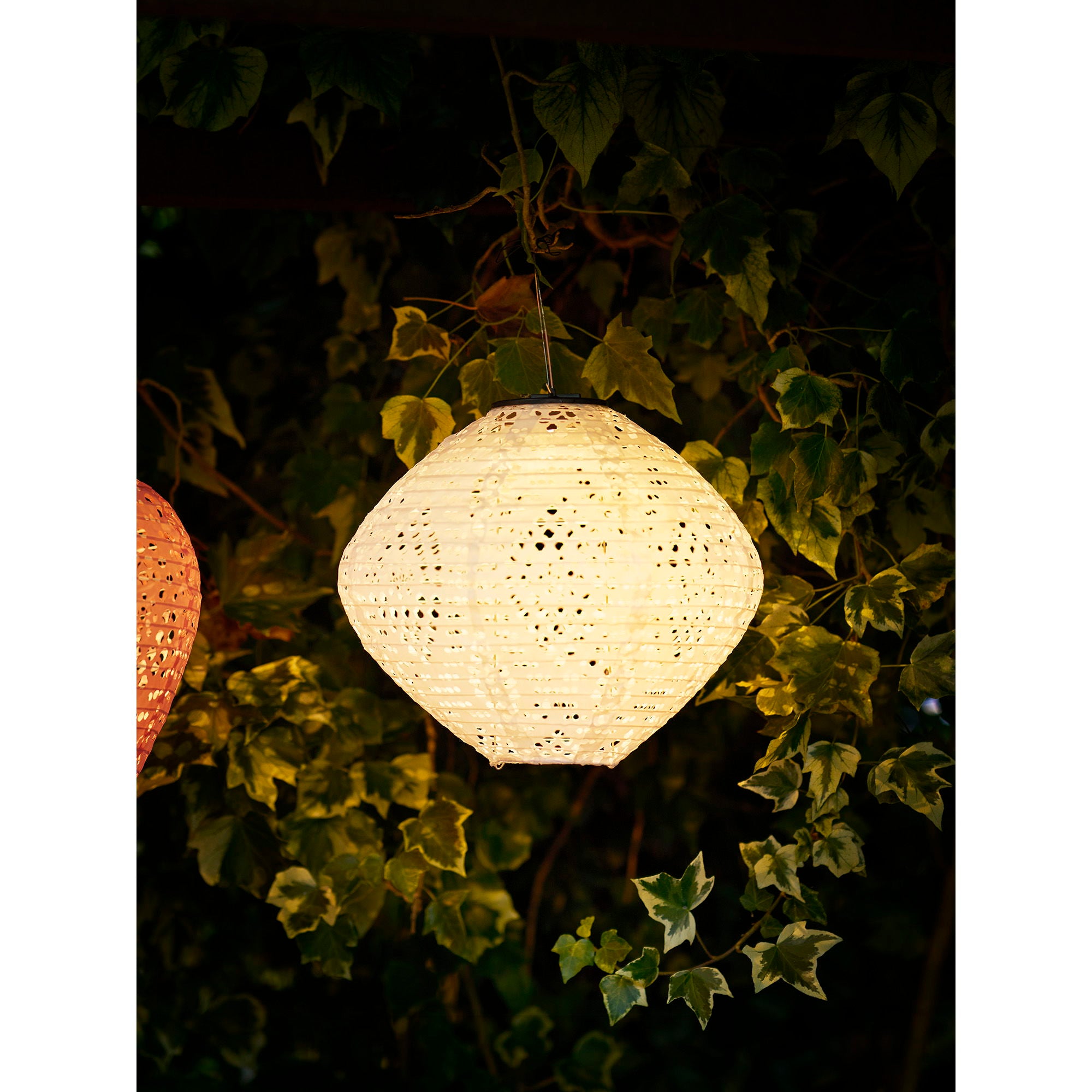 Harwood LED lantaarn