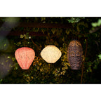 Foxdale LED lantaarn