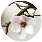 Muurcirkel Soft White