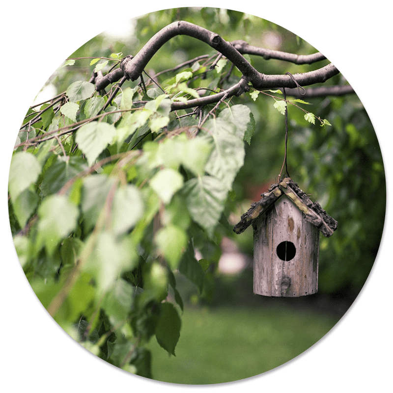 Muurcirkel Vogelhuisje