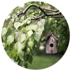 Muurcirkel Vogelhuisje