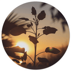 Muurcirkel Sunnyflow