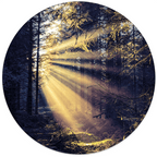 Muurcirkel Flare Wood