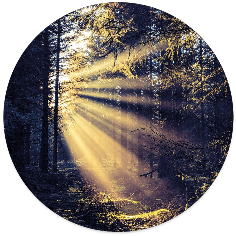 Muurcirkel Flare Wood