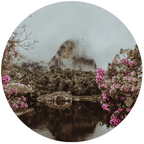 Muurcirkel Mystic Zen