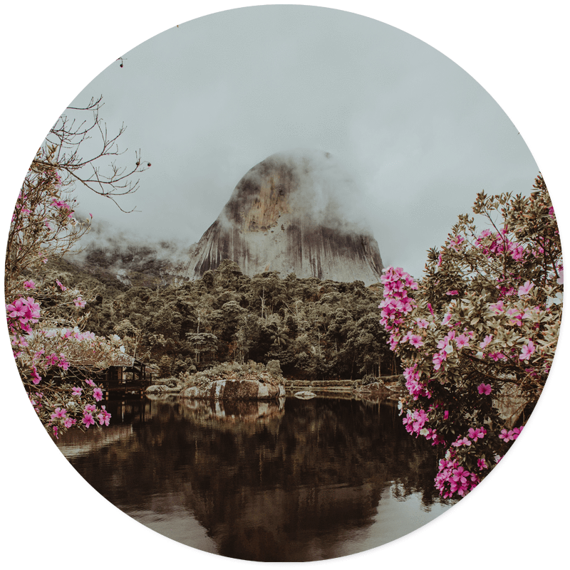 Muurcirkel Mystic Zen