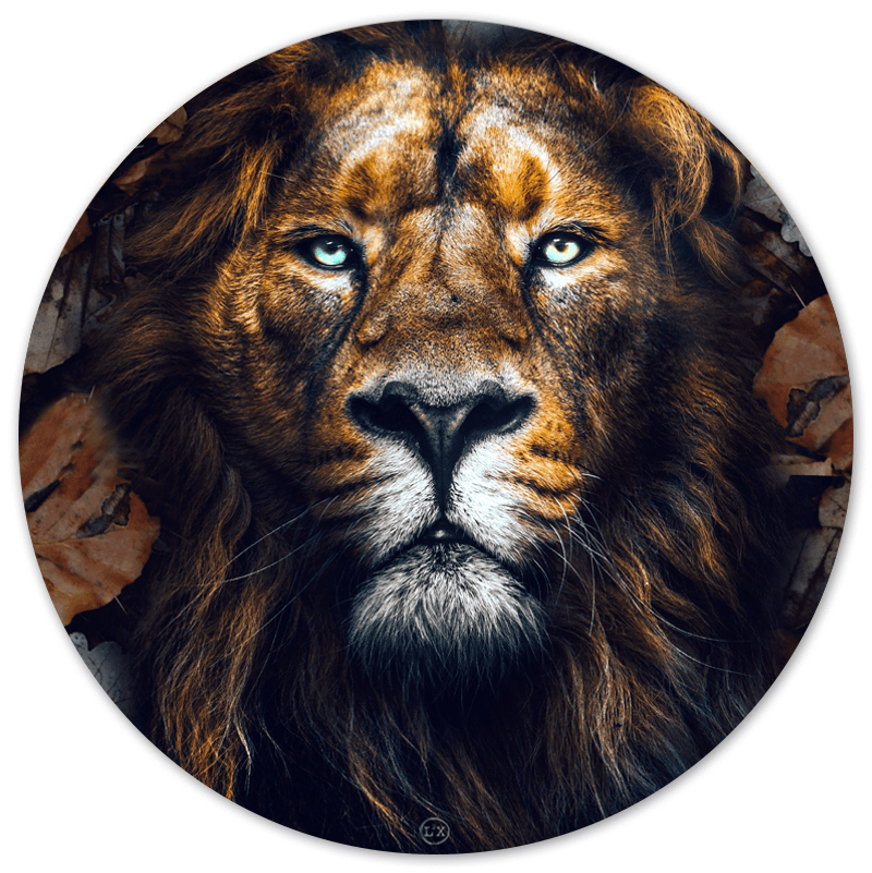 Muurcirkel L2X Lion Leaves