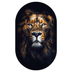 Muurovaal Lion Face