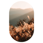 Muurovaal Golden Grass