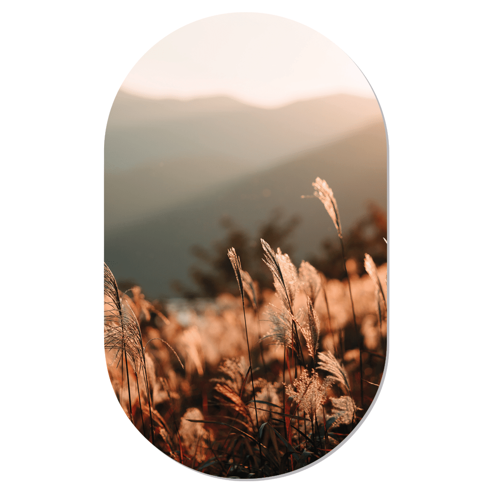 Muurovaal Golden Grass