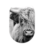 Muurovaal Cow