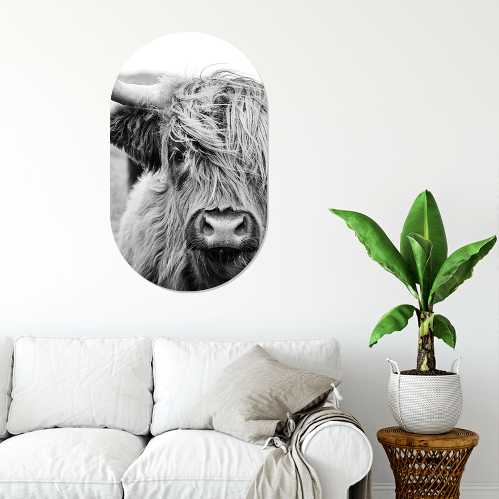 Muurovaal Cow