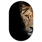 Muurovaal Lioness
